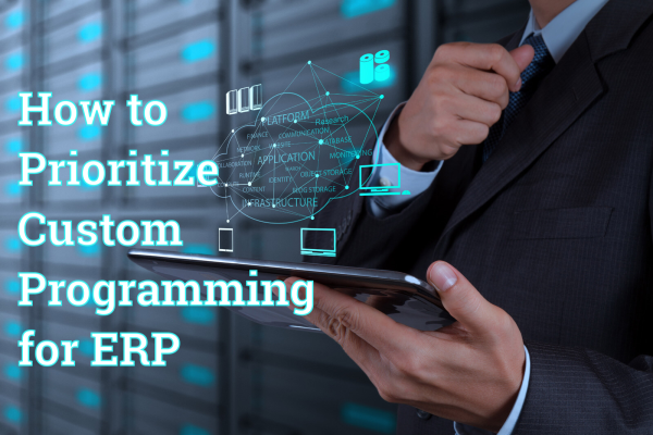 ERP Custom Programming, ERP, Customization, Programming